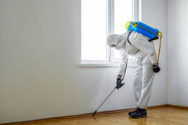 Calverton, NY Pest Control Company