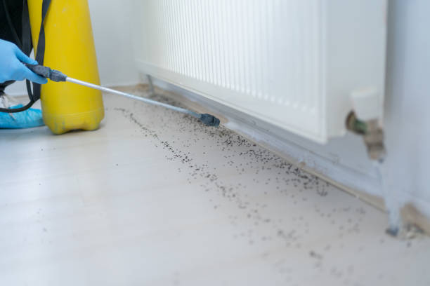 Best Affordable Pest Control Services  in Calverton, NY